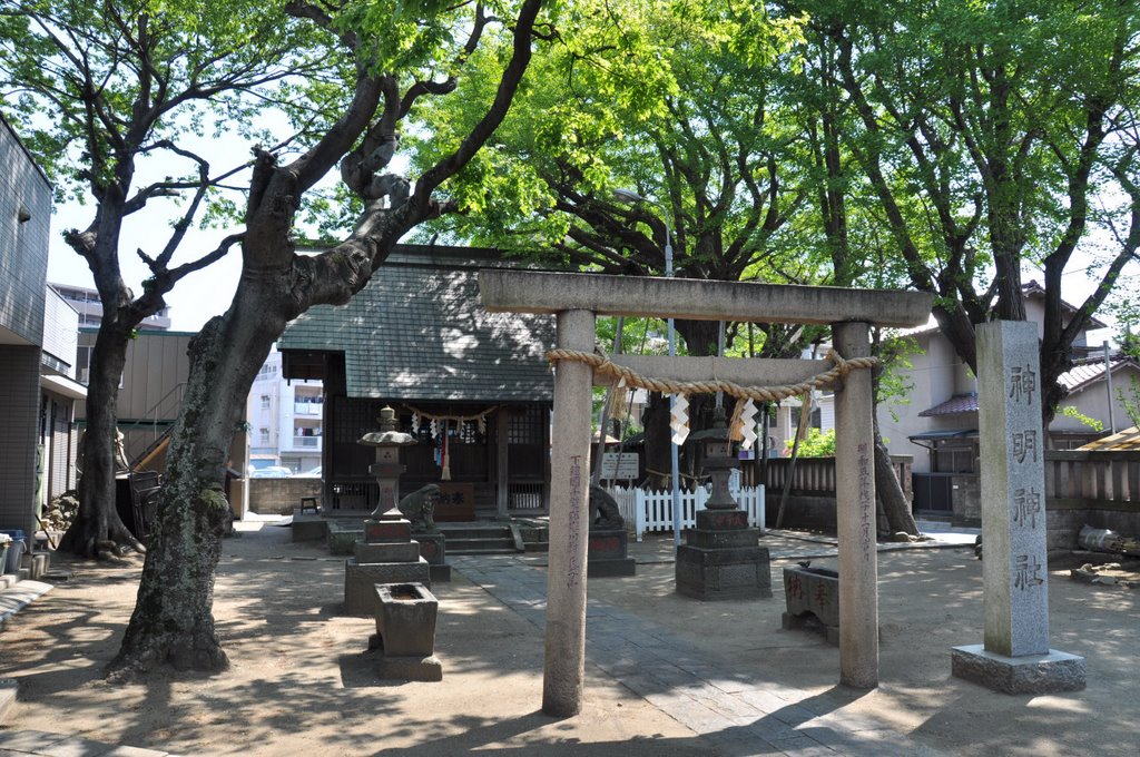 Shimmei-Jinja  神明神社  (2009.04.29), Татиама