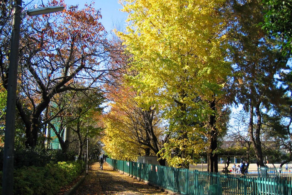 Path between Yagisawa Primary School and Tanashi Technical Highshcool, Кодаира