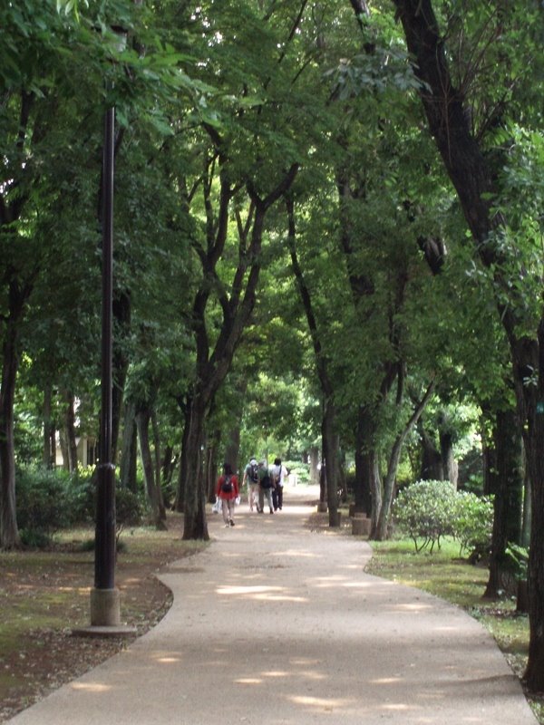 Motomura Park, Кодаира