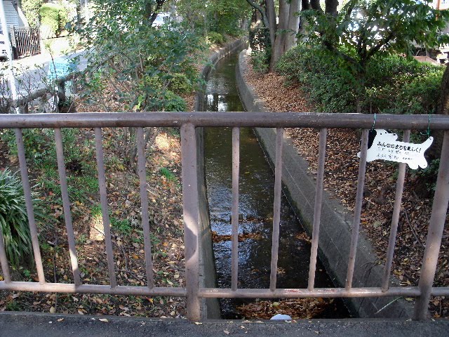 The river "Senkawa water."　The bridge is "Koi Koi".　Camera direction is northeast.　This bridge is near the old military light rail., Кодаира