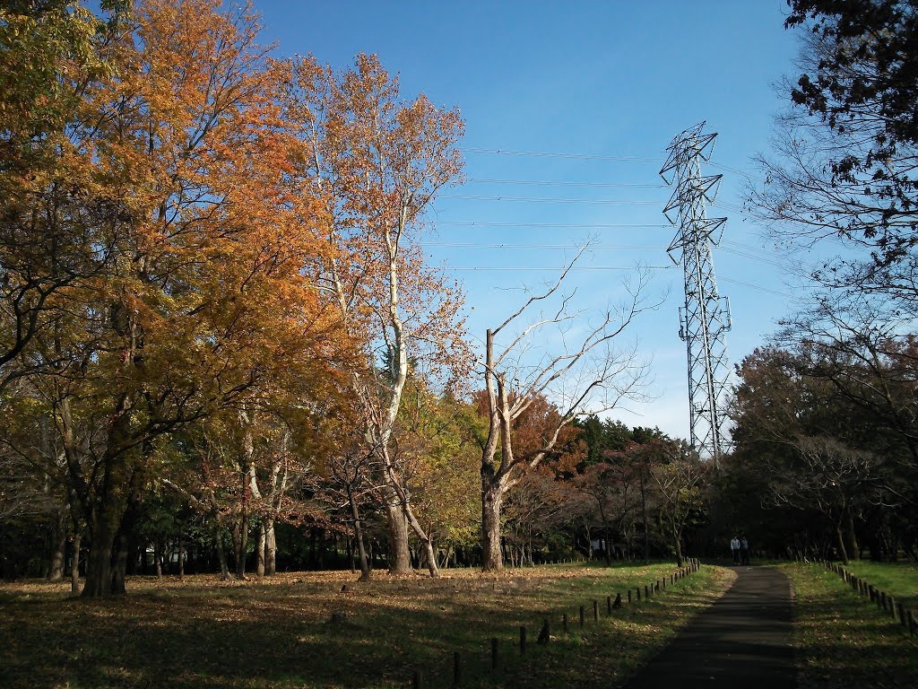 小金井公園, Кодаира