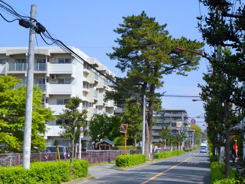 Koganeishi 小金井市, Кодаира