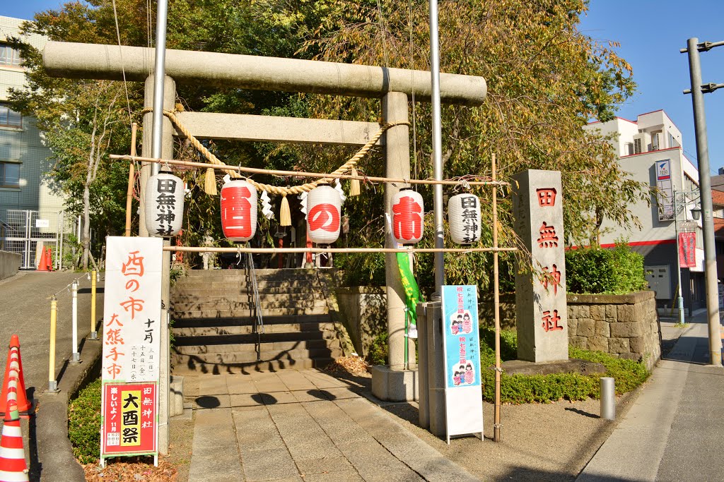 田無神社　鳥居　Tanashi shinto shrine, Кодаира