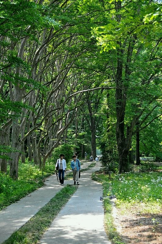Passage , Jindai Botanical Garden, Митака