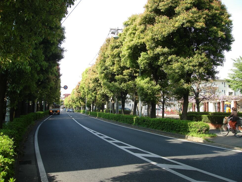 Near crossing of Musashisakai Road and Tomei Highway, Митака