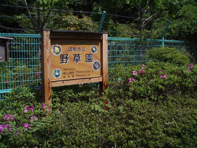 Wild Plant Garden, Митака