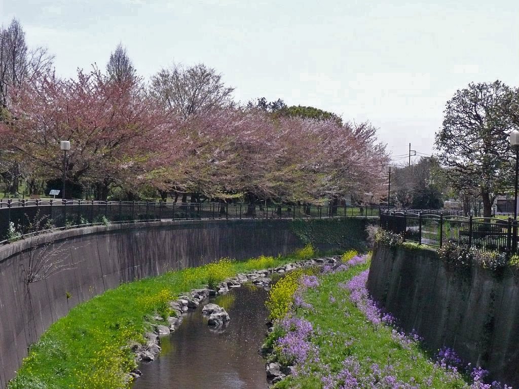 仙川　丸池公園, Митака