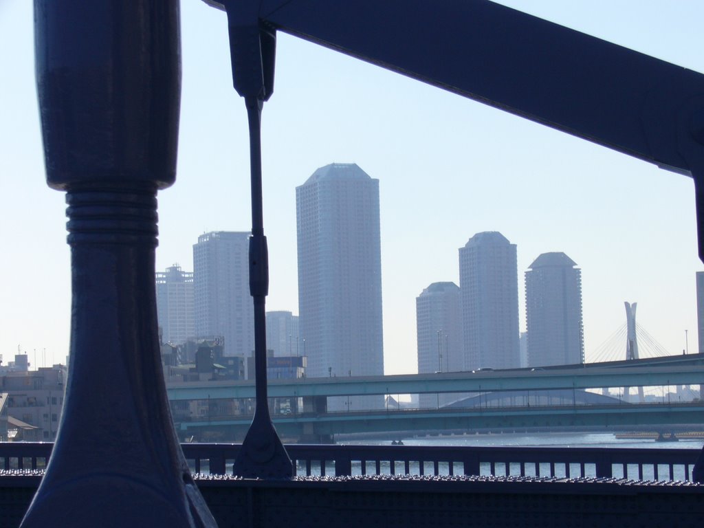 View from Kiyosu-bashi Bridge 清洲橋 [ys-waiz.net], Мусашино