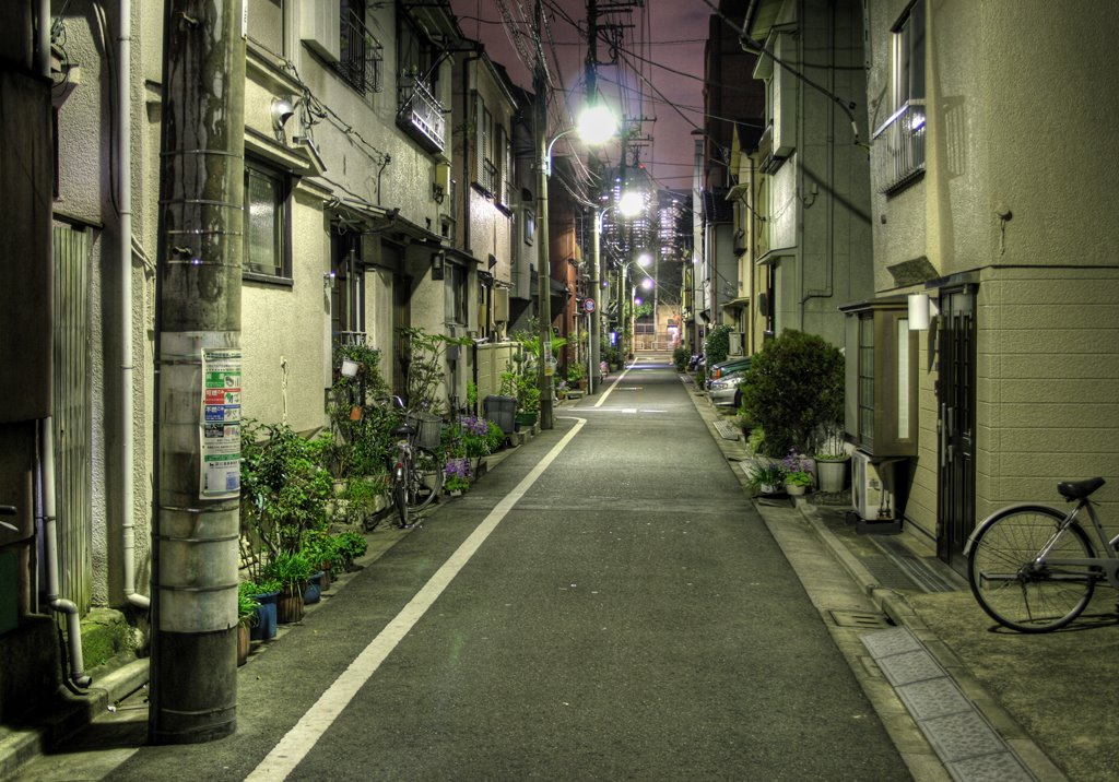 Street in Etchujima 2-chome (219), Мусашино