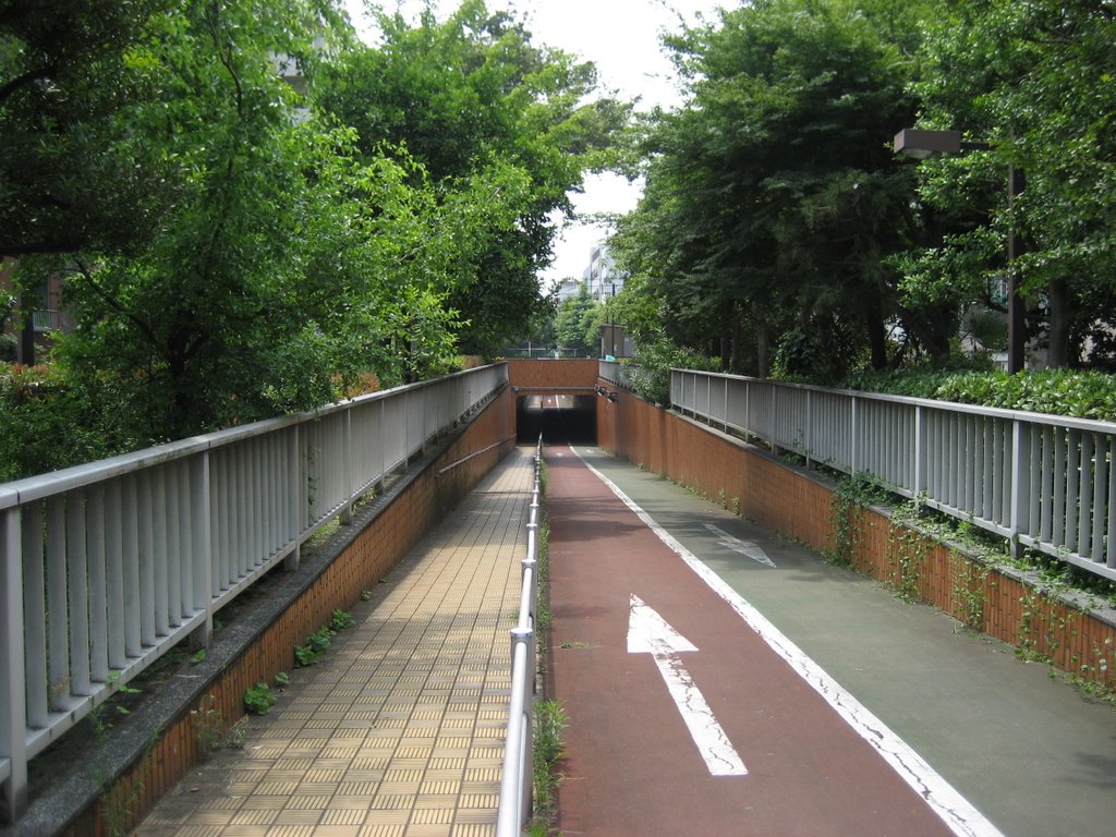 Suzakigawa Ryokudokoen Underpass, Тачикава