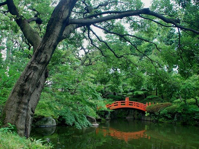 安田庭園, Тачикава