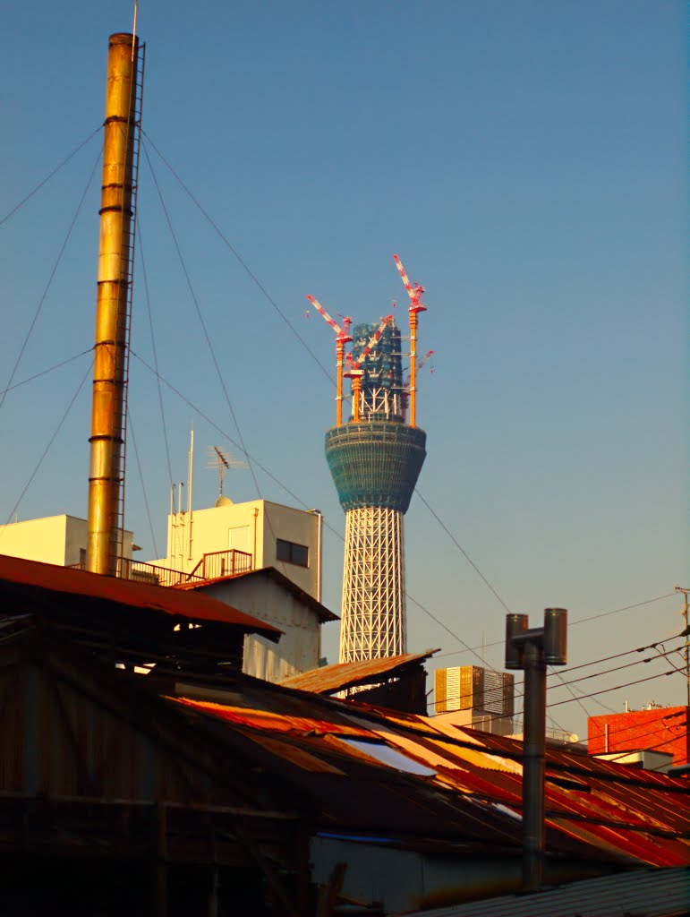 Under construction (Tokyo Sky Tree in September 2010), Тачикава