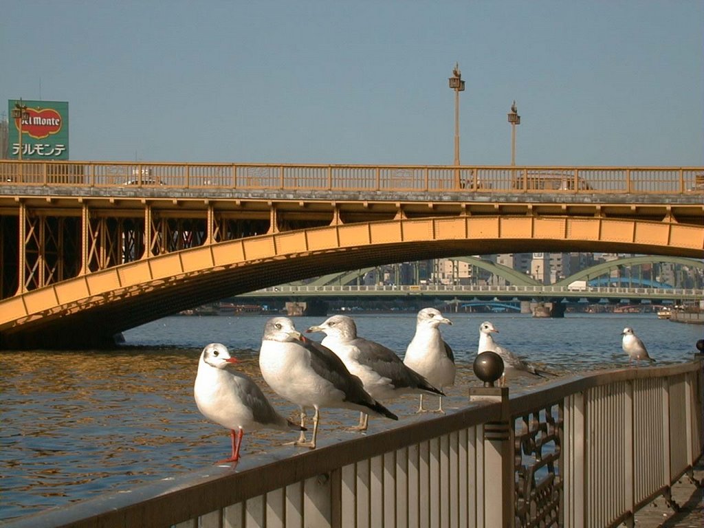 3 Bridges@Sumida-gawa river,In view of this side,Kuramae-bashi,Umaya-bashi,Komagata-bashi　隅田川の３橋、手前から蔵前橋、厩橋、駒形橋, Токио