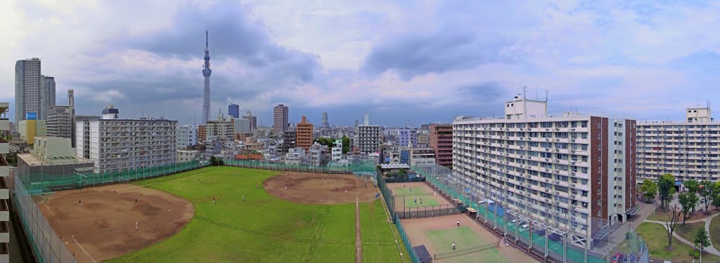 Kōtō City Kameido Baseball Ground 亀戸野球場, Токио