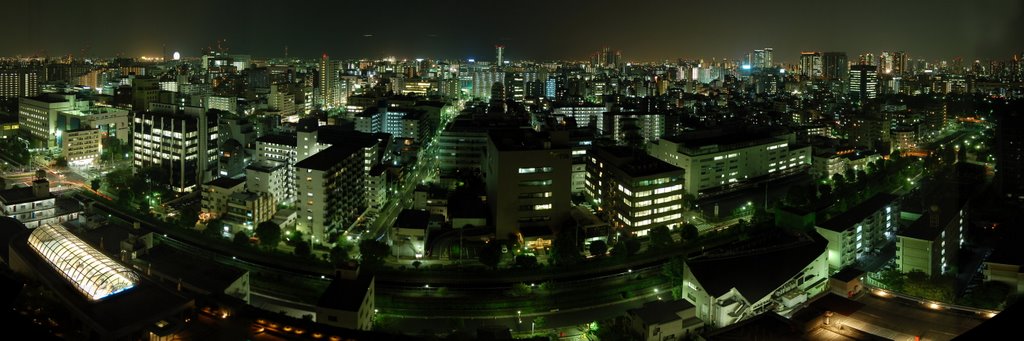 Tokyo skyline from East21 Hotel, Хачиойи