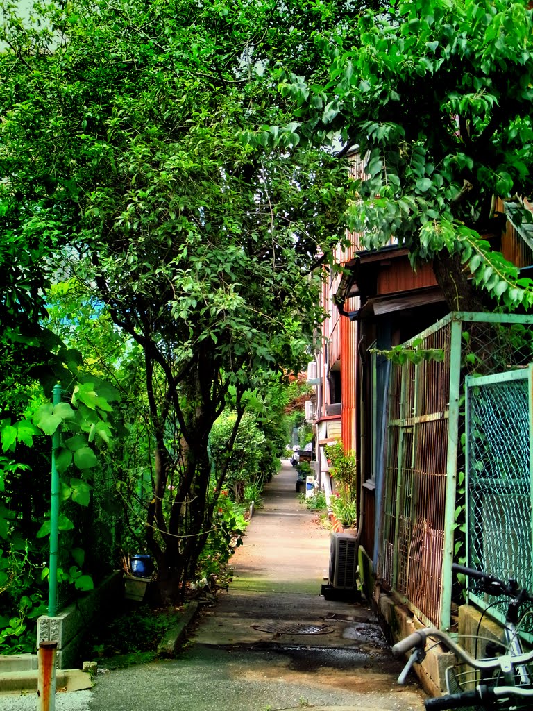 Alley in Kitasuna 北砂 暗渠路地 [ys-waiz.net], Хачиойи