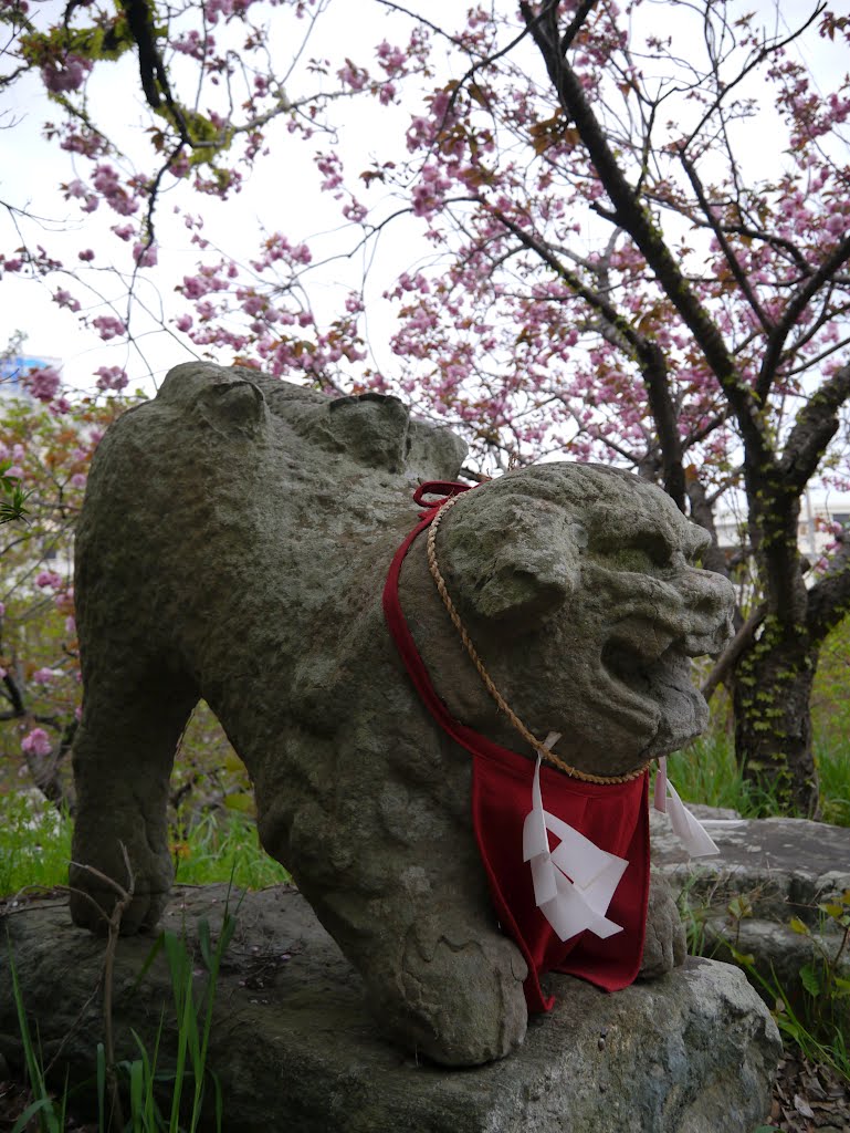 三島神社　狛犬（徳島市指定有形文化財）, Анан