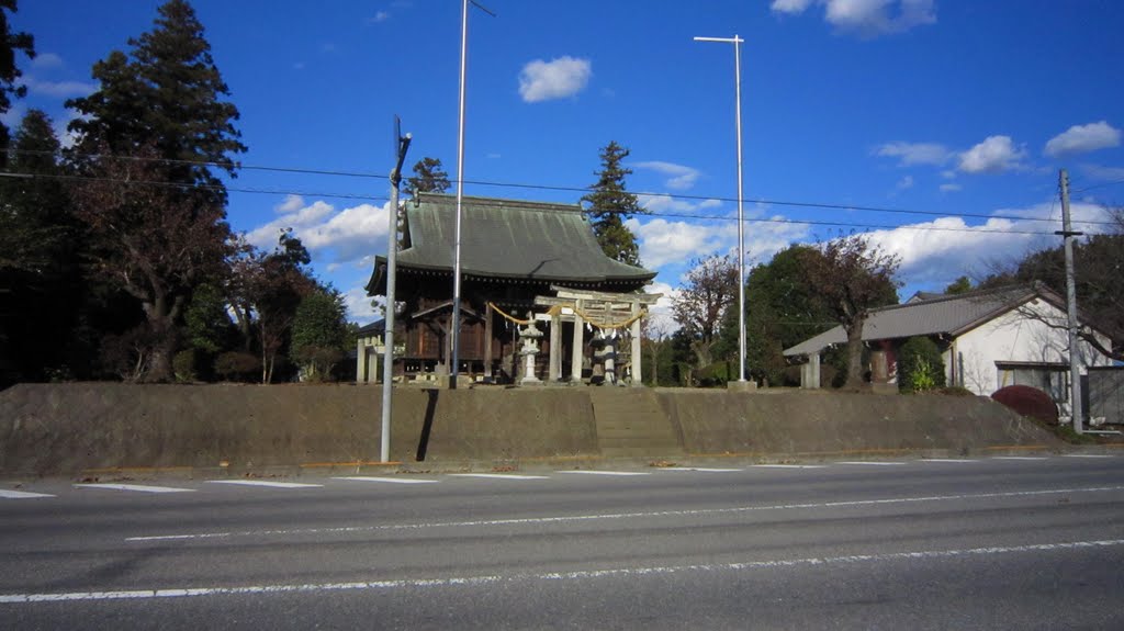 星宮神社 (下野市細谷), Отавара
