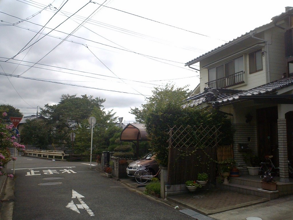 Tachikawa-Cho, Tottori City, Tottori Pref, Japan - 鳥取県鳥取市立川町, Йонаго