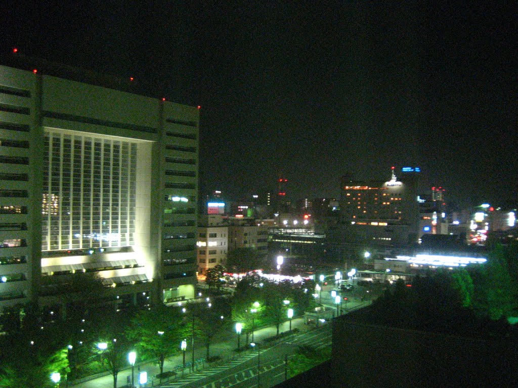 Night view of Toyama city  May 3, 2010, Камишии