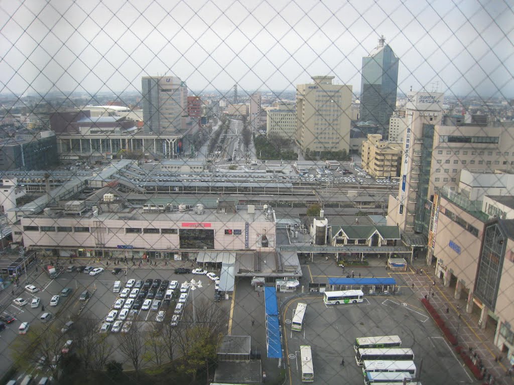 富山駅 Toyama station, Камишии