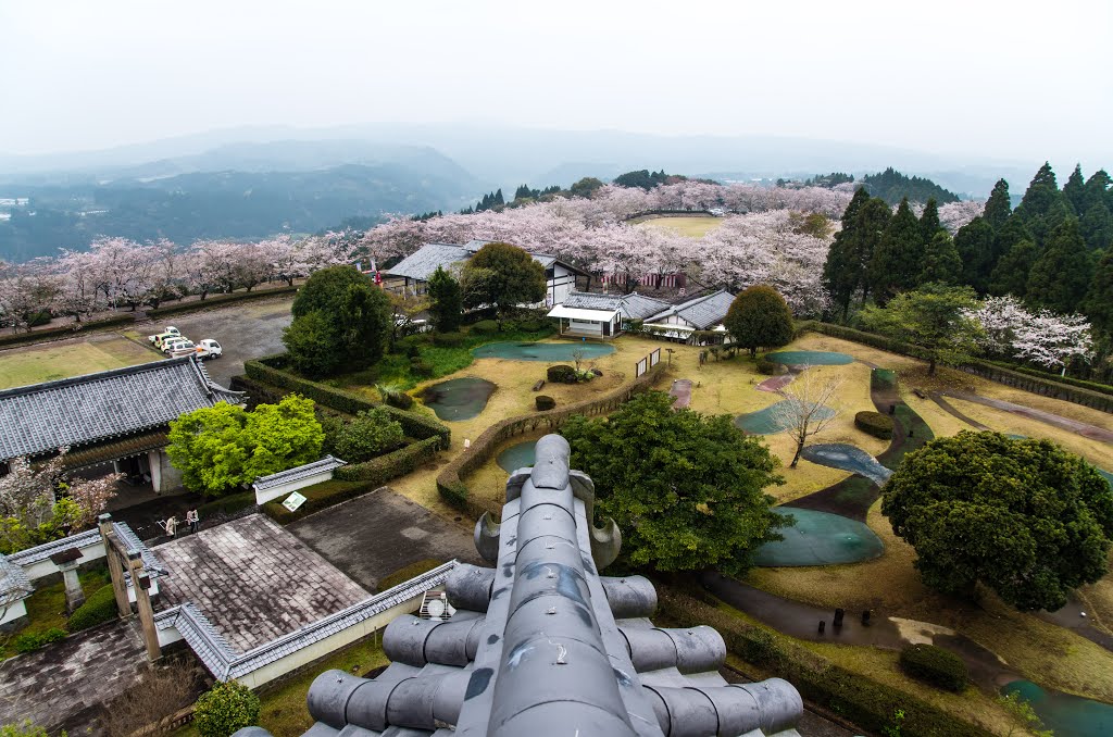 天ケ城からの桜, Такаока