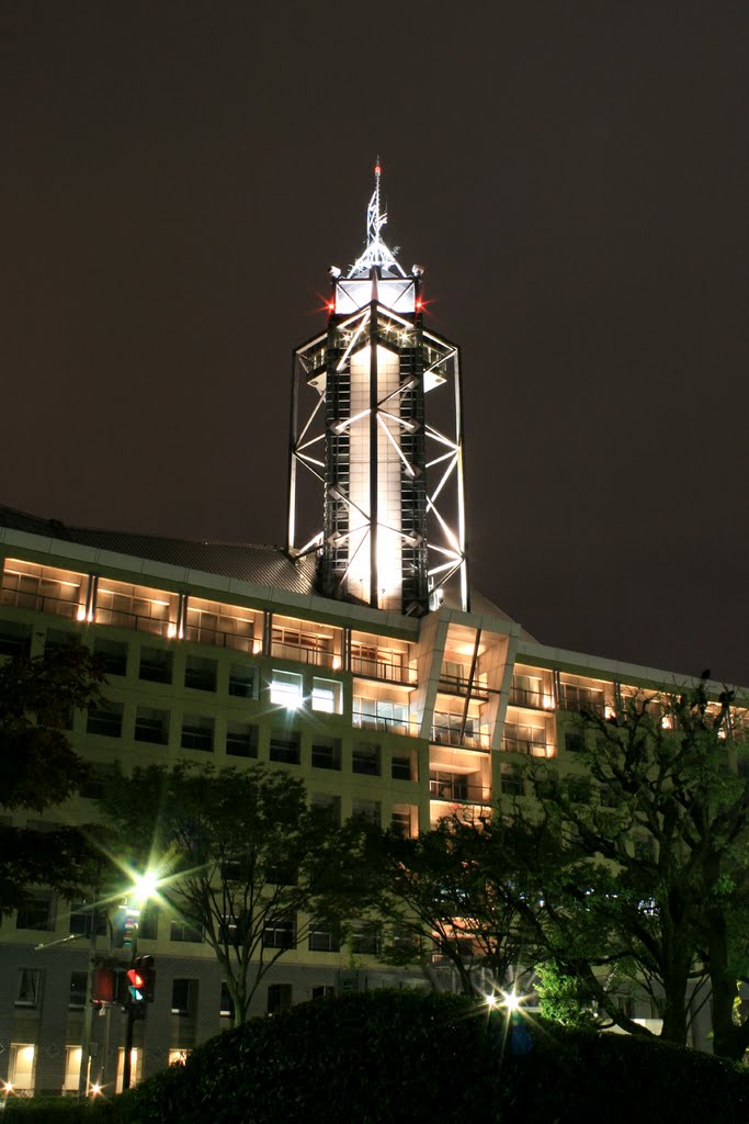 Toyama City Hall, Тояма