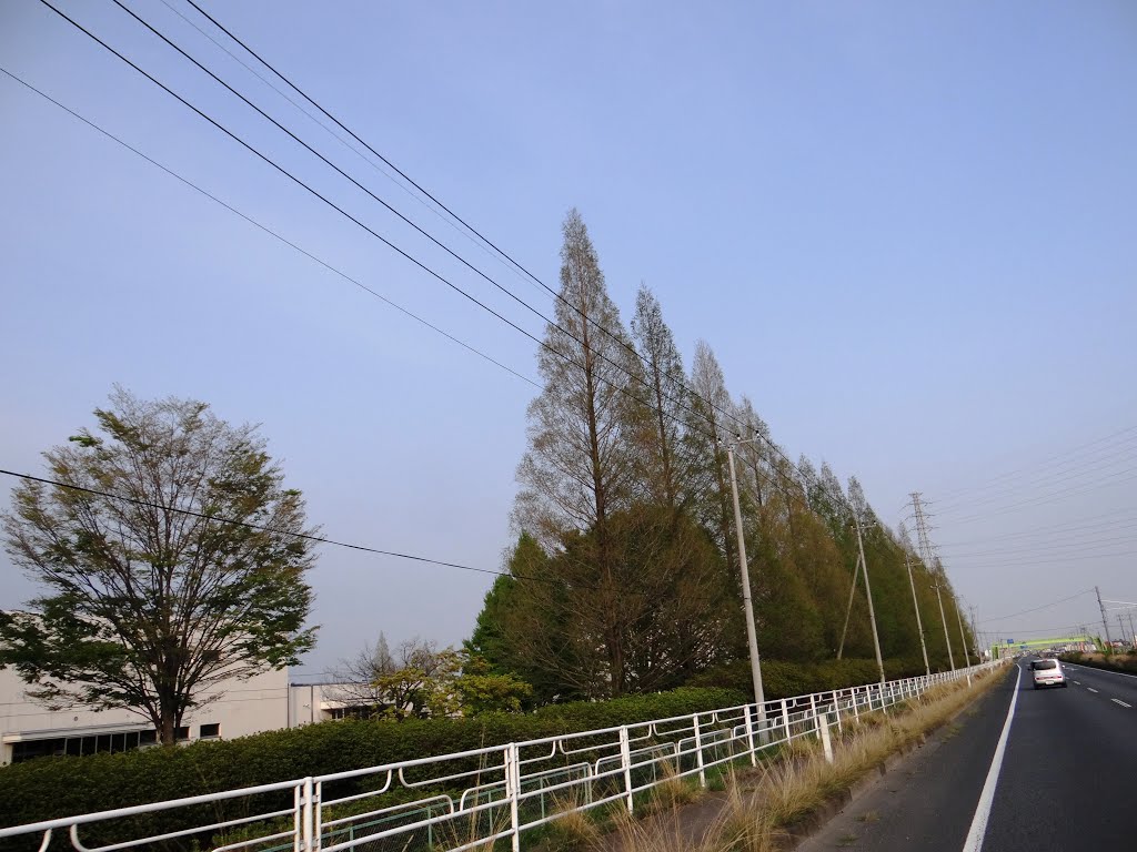 Ashikaga By-pass, Kubotacho, Ashikaga, Tochigi Prefecture 326-0324, Japan, Оно