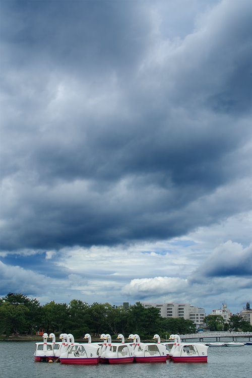 Ohori Park in Clouds, Амаги