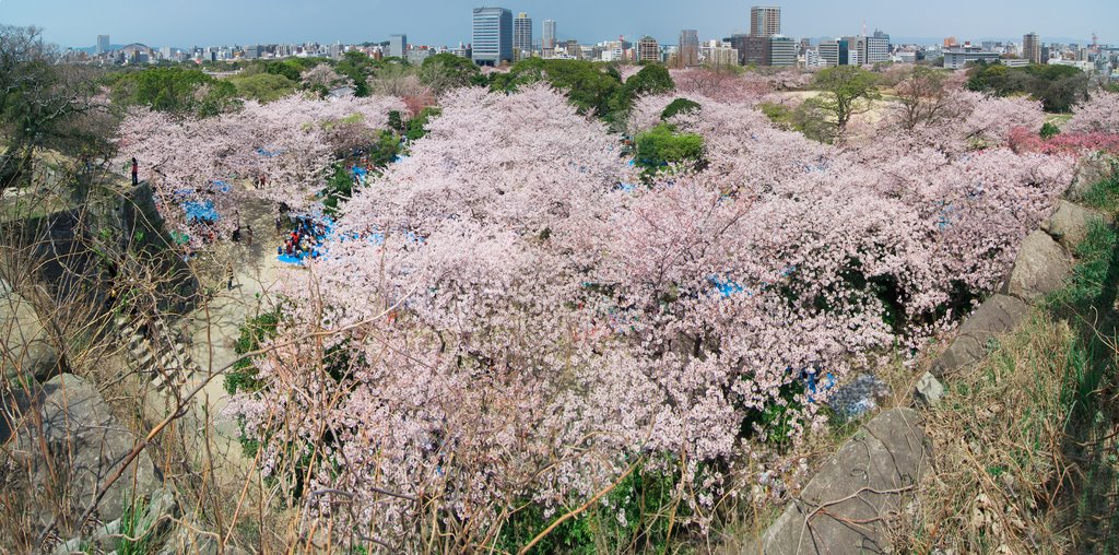Panoramic View, Иукухаши