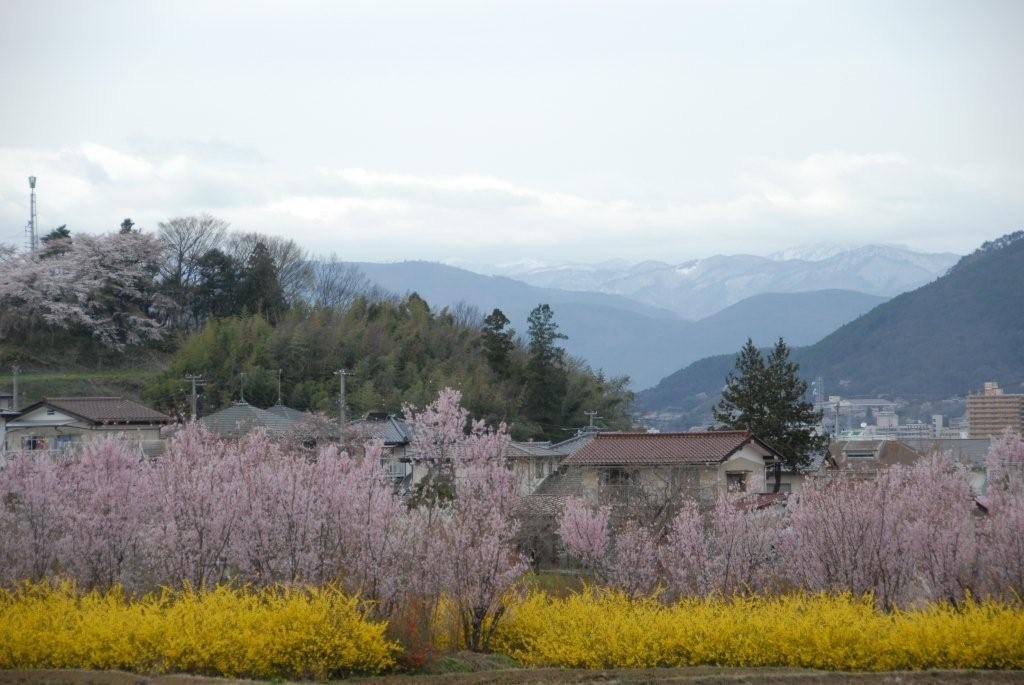 Fukushima  福島　花見山, Иваки
