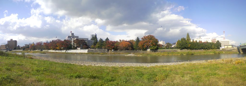 Fukushima Castle/Autumn leaves, Иваки