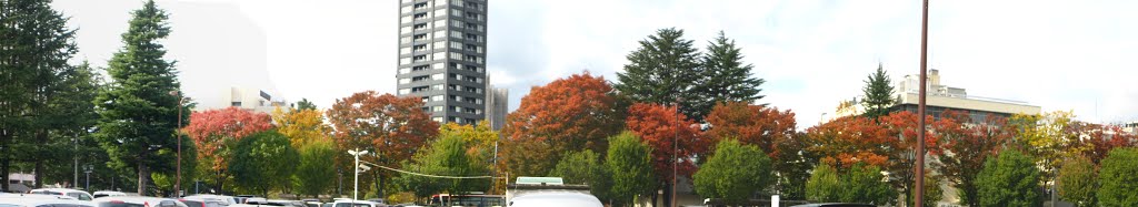Enjoy the autumn colors, Иваки