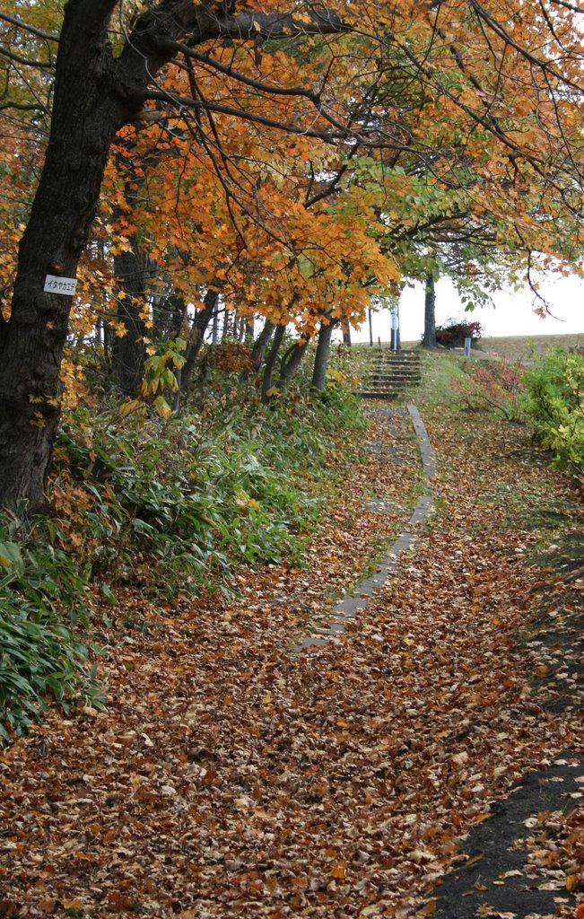 Autumn footpath  秋の小道, Абашири