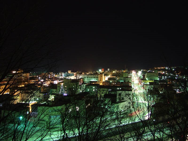 ABASHIRI nightview from Tentozan, Абашири