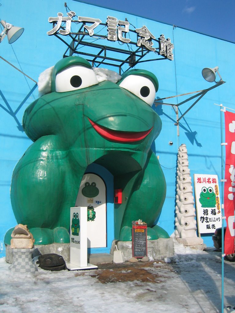 frogs　ガマ記念館, Асахигава