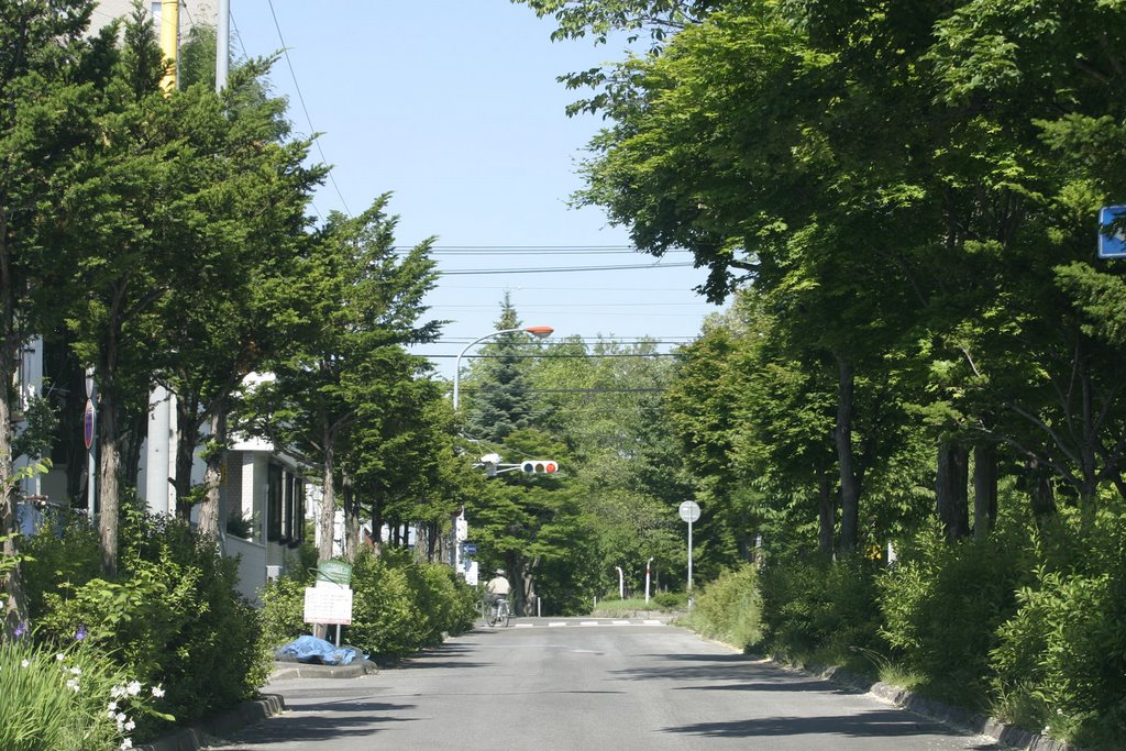 石北大通り, Китами