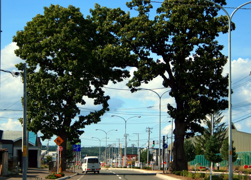 Green gate 緑の門, Китами