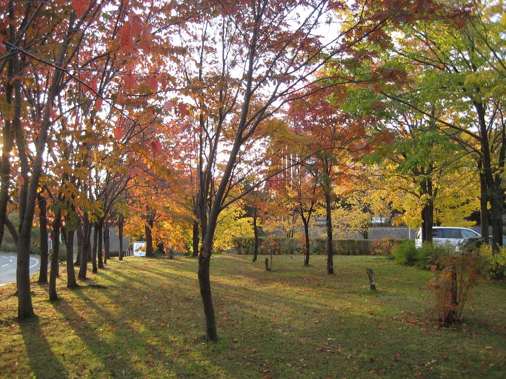 秋の西日の中で～東陵公園, Китами