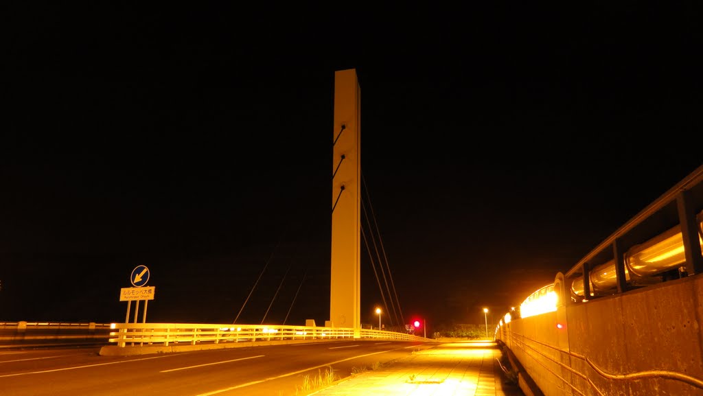 国道232号線　ルルモッペ大橋　主塔(夜), Румои