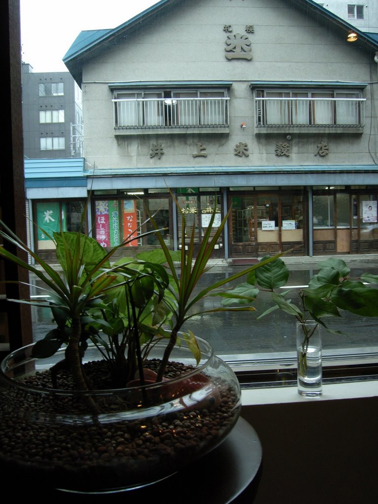 窓際の景色, Саппоро