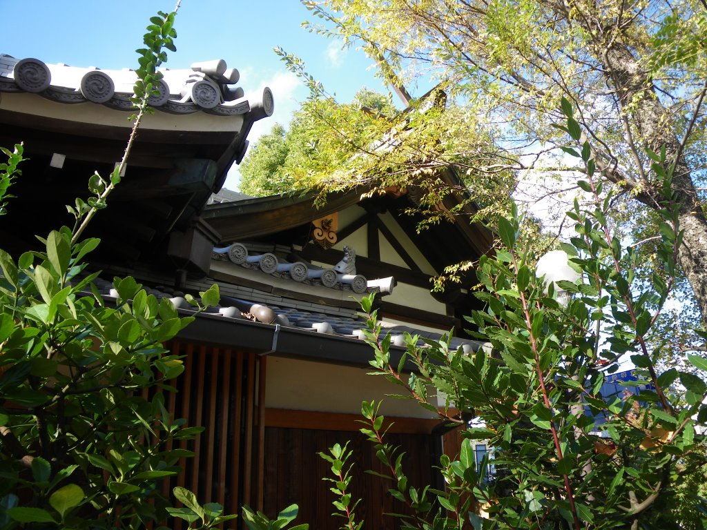 Gosha Jinja Shrine　五社神社 御神殿, Амагасаки