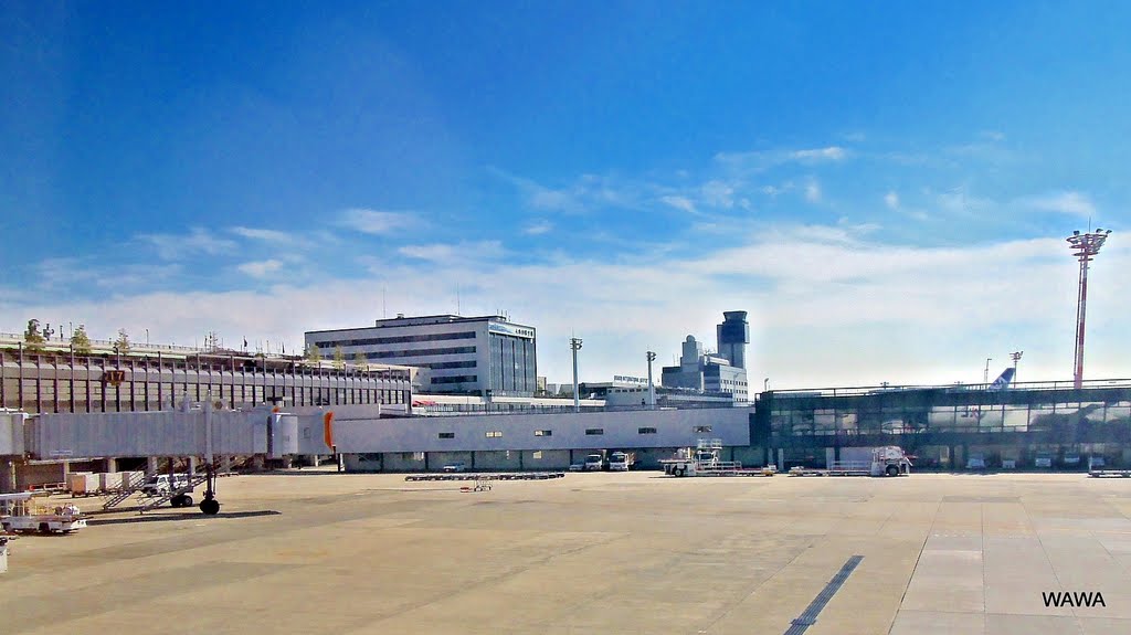 Osaka International Airport (Itami Airport),  大阪国際空港（伊丹空港）, Итами
