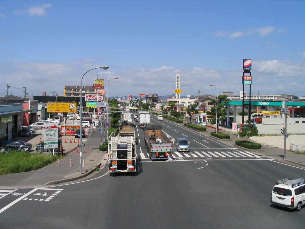 The west part of the Onakaminami Intersection(大中南交差点西側), Какогава