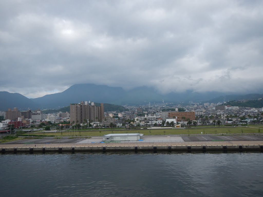さんふらわあ　大阪南港→別府観光港2014年6月, Тоёока