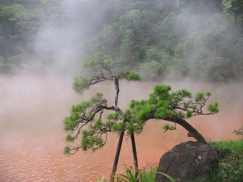 Hot Springs Hell, Тоёока
