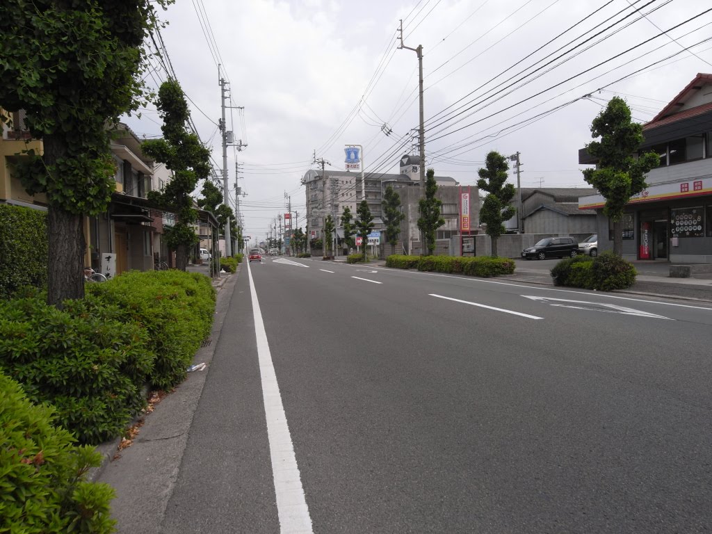 美須賀町 [2011.05], Имабари