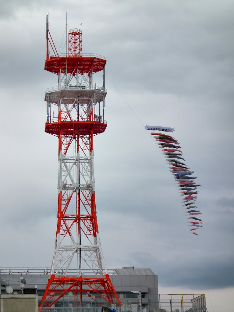 Carp streamer "Koinobori" NTT東日本山形支店 本町ビル 「ビルより高い鯉のぼり」, Саката