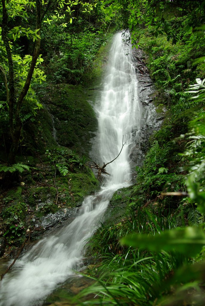 梅峯の滝, Ивакуни