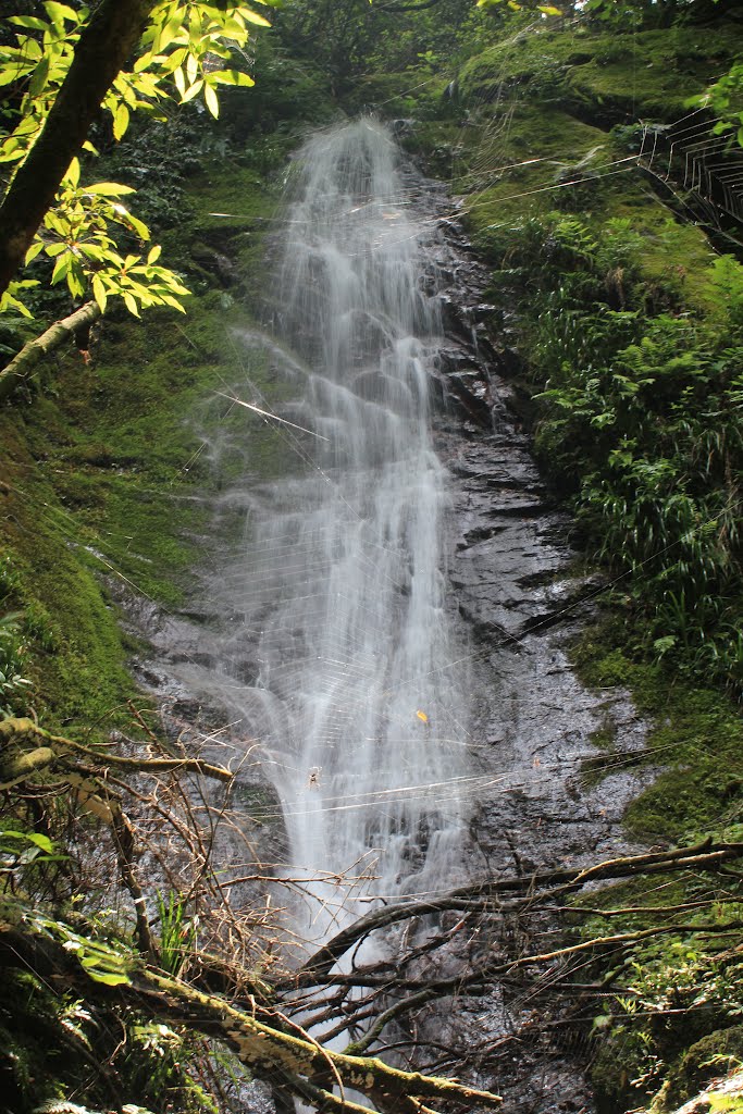 梅峯の滝（山口市）, Ивакуни